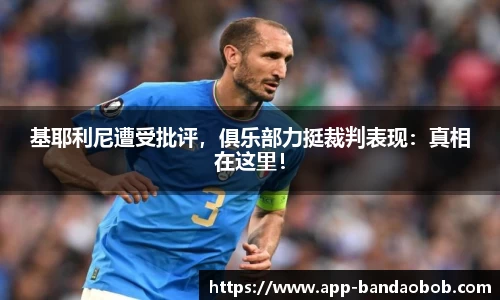 BOB半岛体育